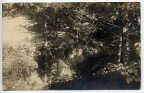 Postcard #92  [ravine scene]